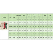 Toddler Boys Christmas Sweatshirt and Pants Set Embroidery