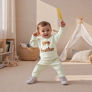 Toddler Boys Sweatshirt and Pants Set Embroidery