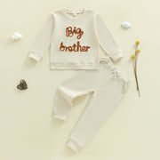 Toddler Boys Sweatshirt and Pants Set Embroidery